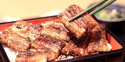うな春こだわりの鰻料理
